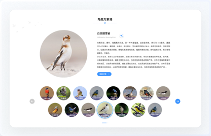 交互設計、UI設計、網站設計