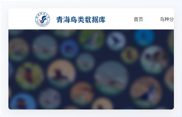 交互設計、UI設計、網站設計